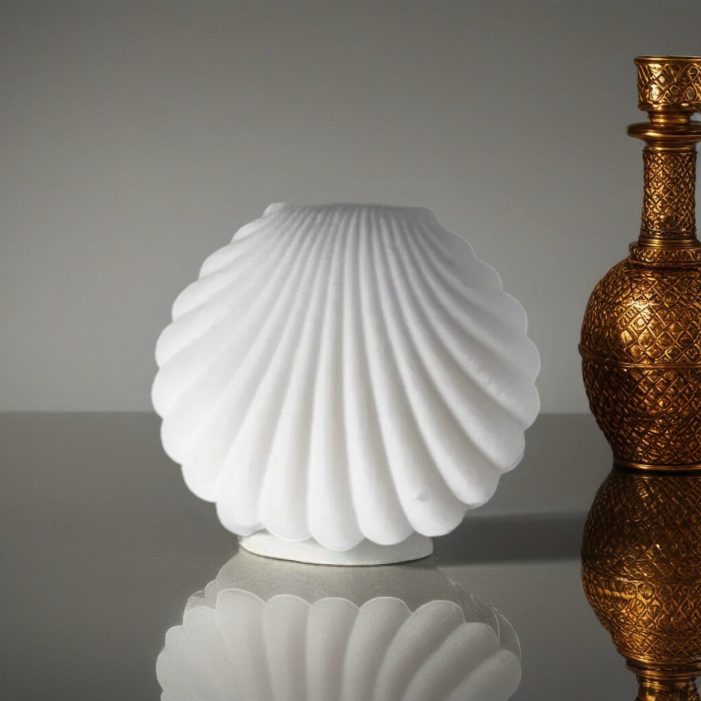 Emballage cadeau Coquillage