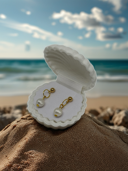 Emballage cadeau Coquillage
