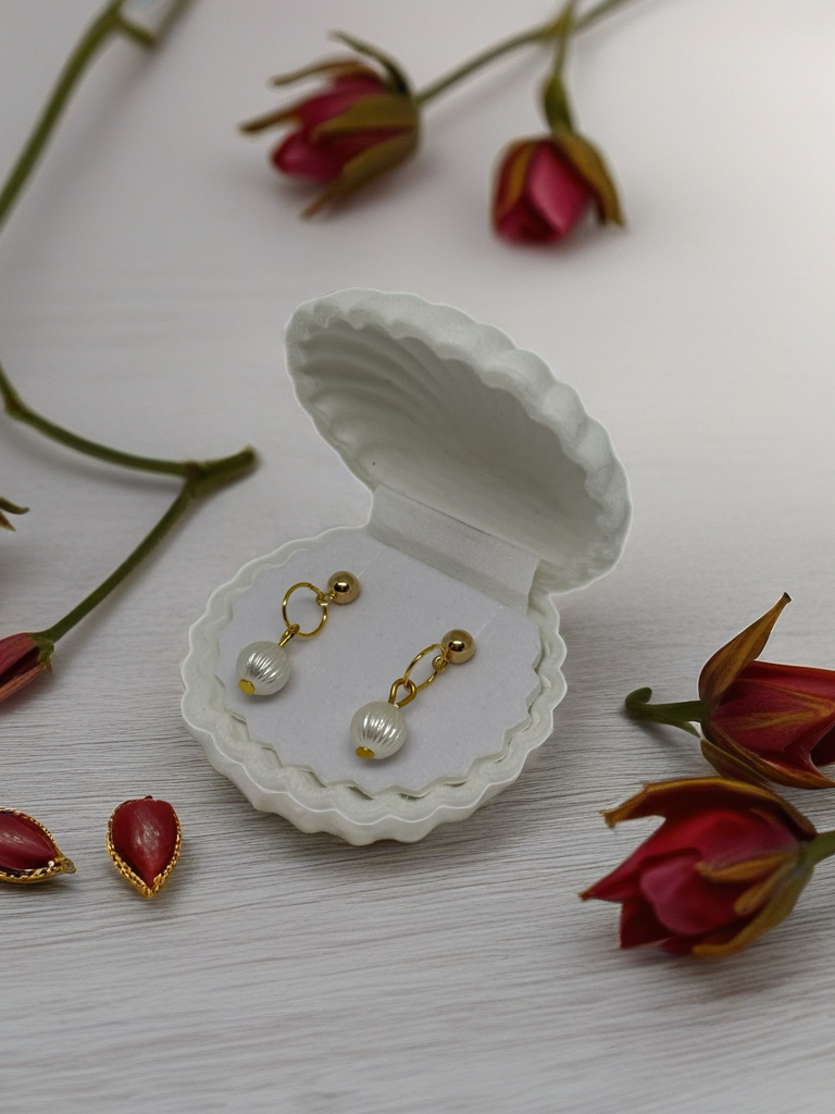 Emballage cadeau Coquillage